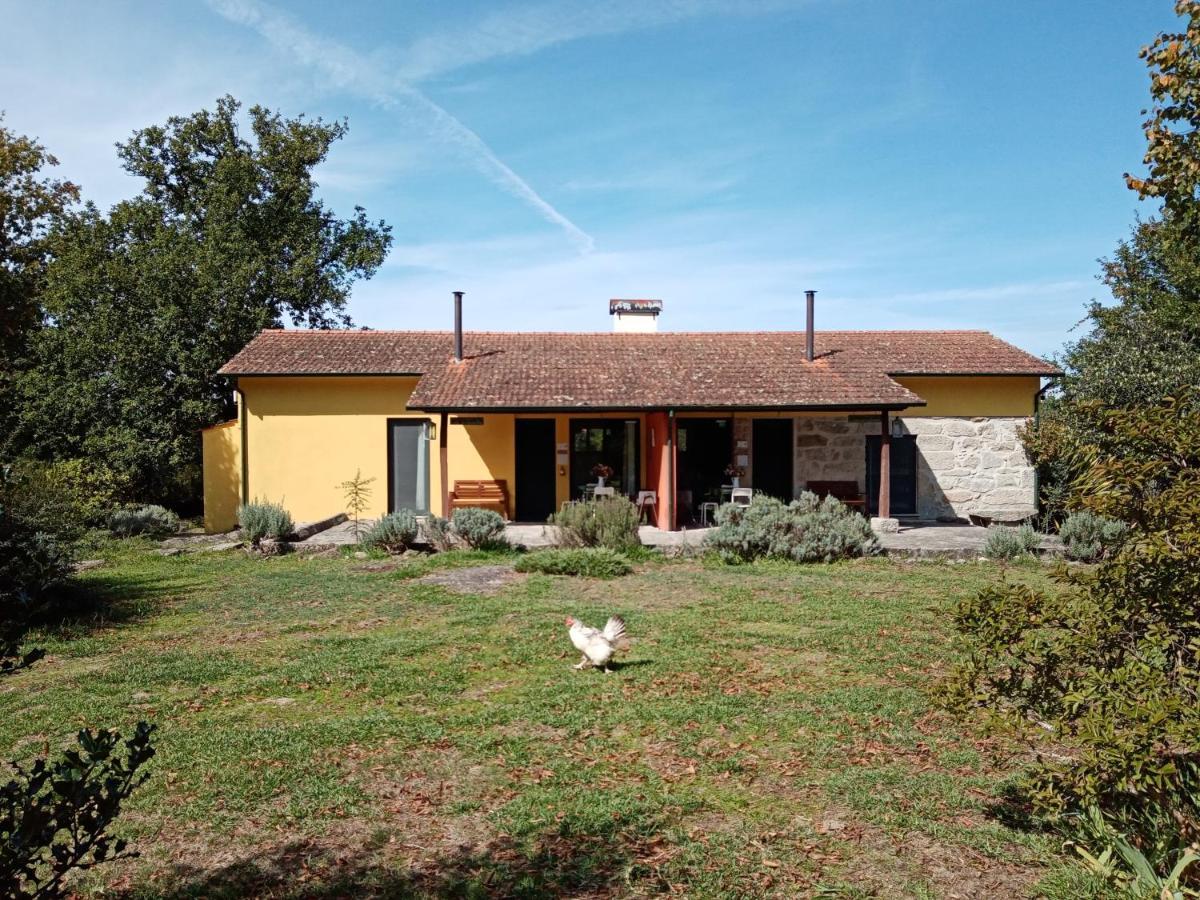 Casa Das Palmeiras-Pedagogic Farm Мангуалди Экстерьер фото