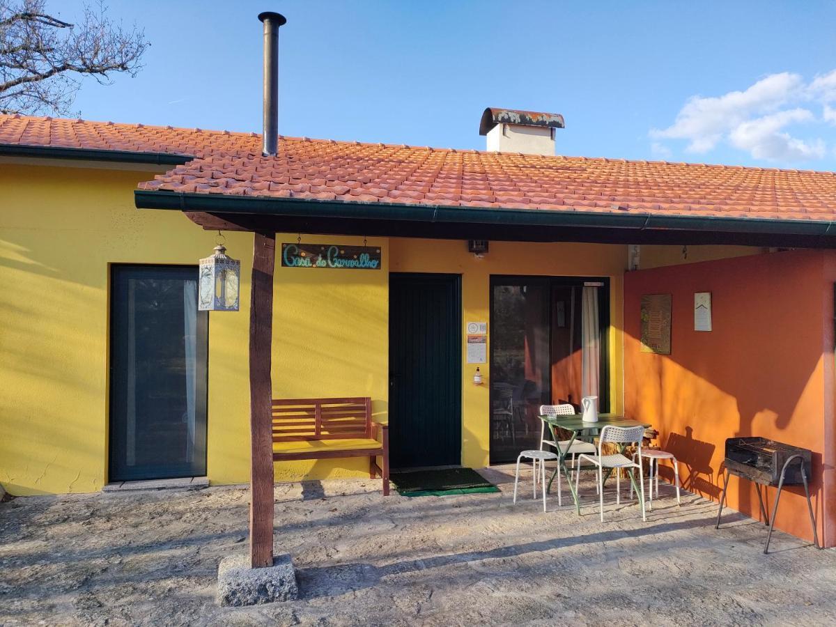Casa Das Palmeiras-Pedagogic Farm Мангуалди Номер фото