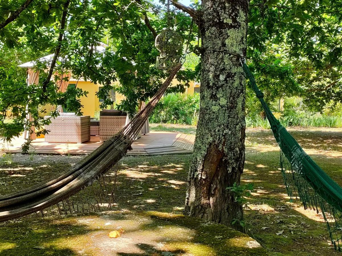 Casa Das Palmeiras-Pedagogic Farm Мангуалди Экстерьер фото